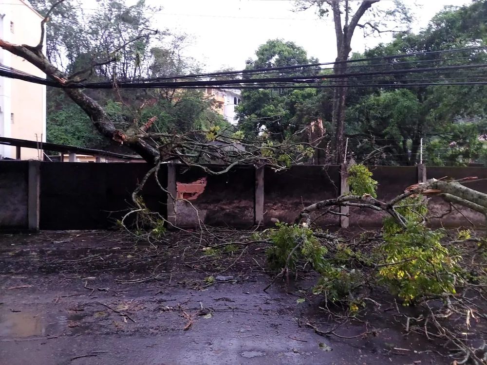 Temporal derruba árvore em Resende, Sul do Rio e Costa Verde