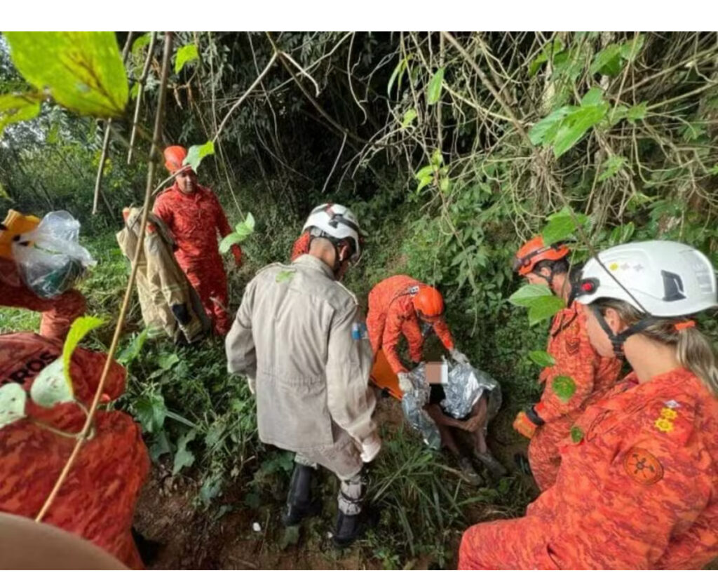 Idoso desaparecido é encontrado em mata após três dias em VR