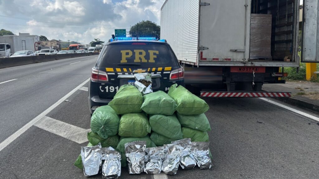 BM: PRF prende caminhoneiro com 116 kg de maconha na Via Dutra