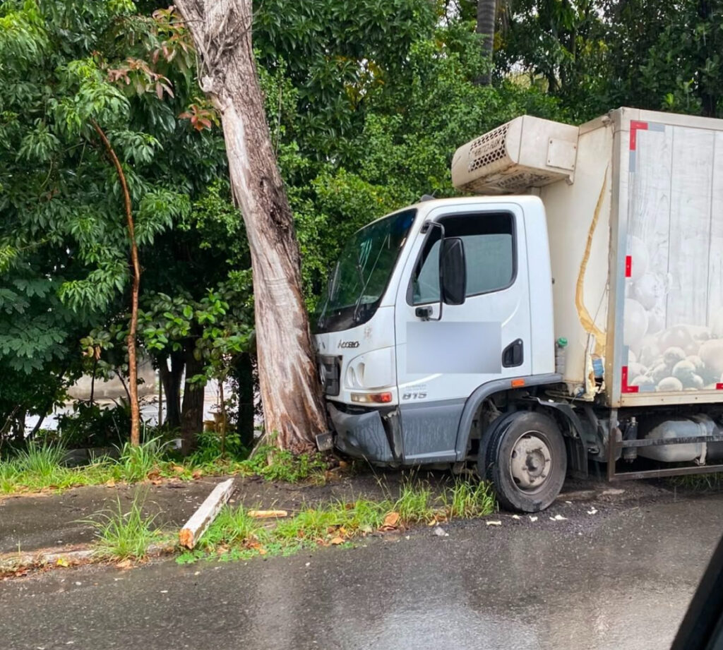 Caminhão perde o controle e bate em árvore na BR-393, em Volta Redonda