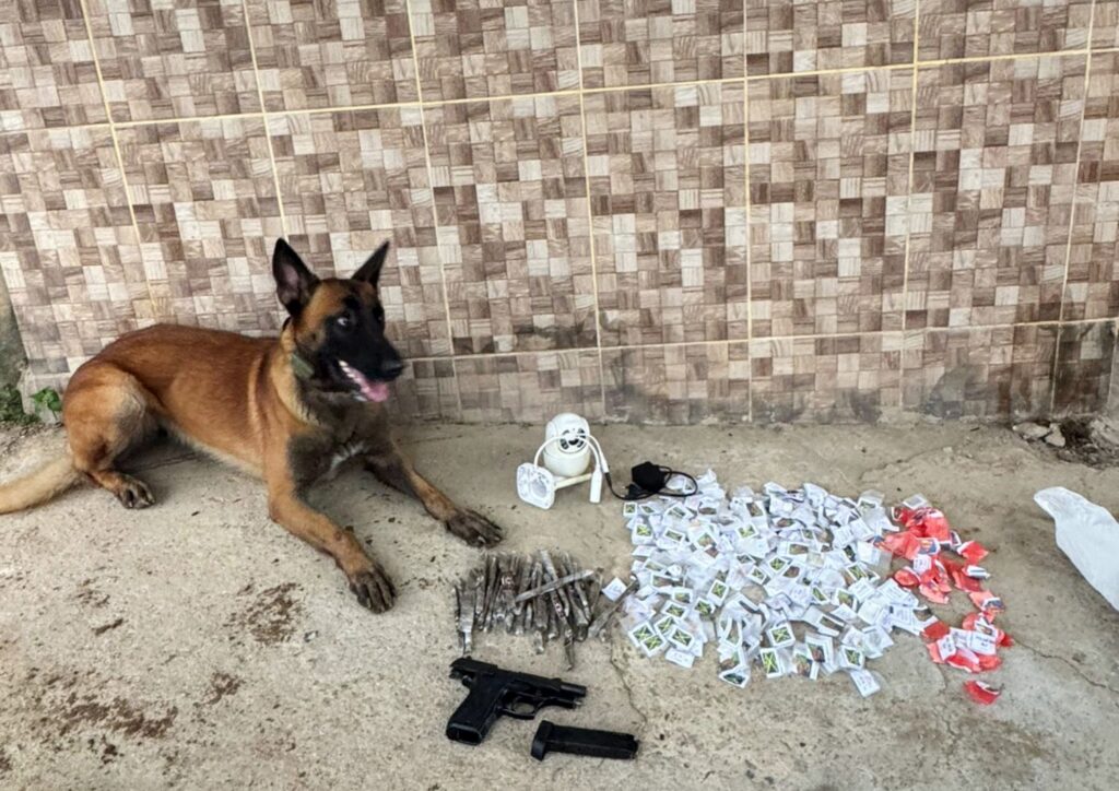 Batalhão de Ações com Cães  em Volta Redonda faz primeira ocorrência