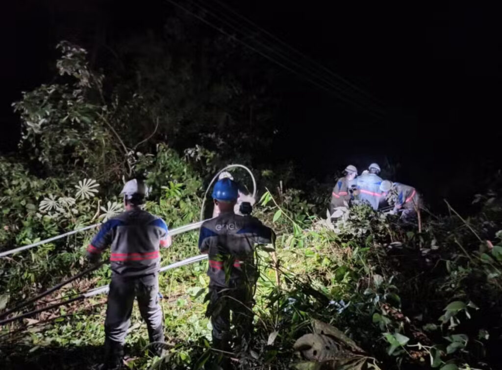 Queda de árvore deixa 15 mil pessoas sem luz em Paraty