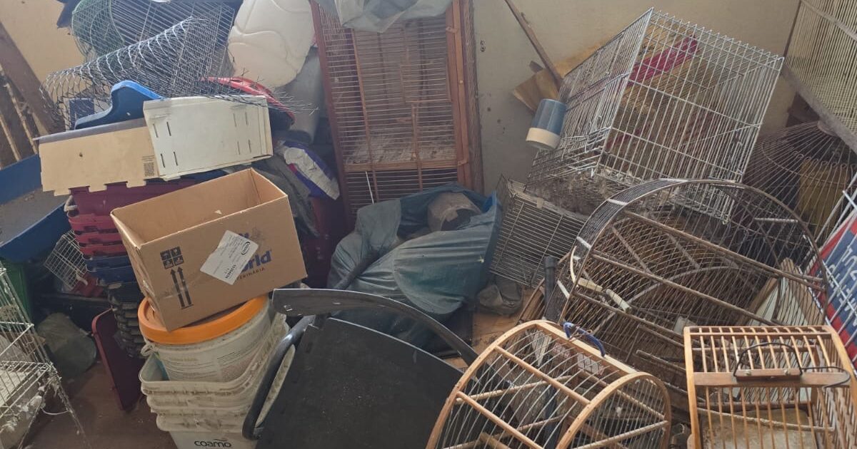 Volta Redonda apreende 173 animais em operação contra maus-tratos