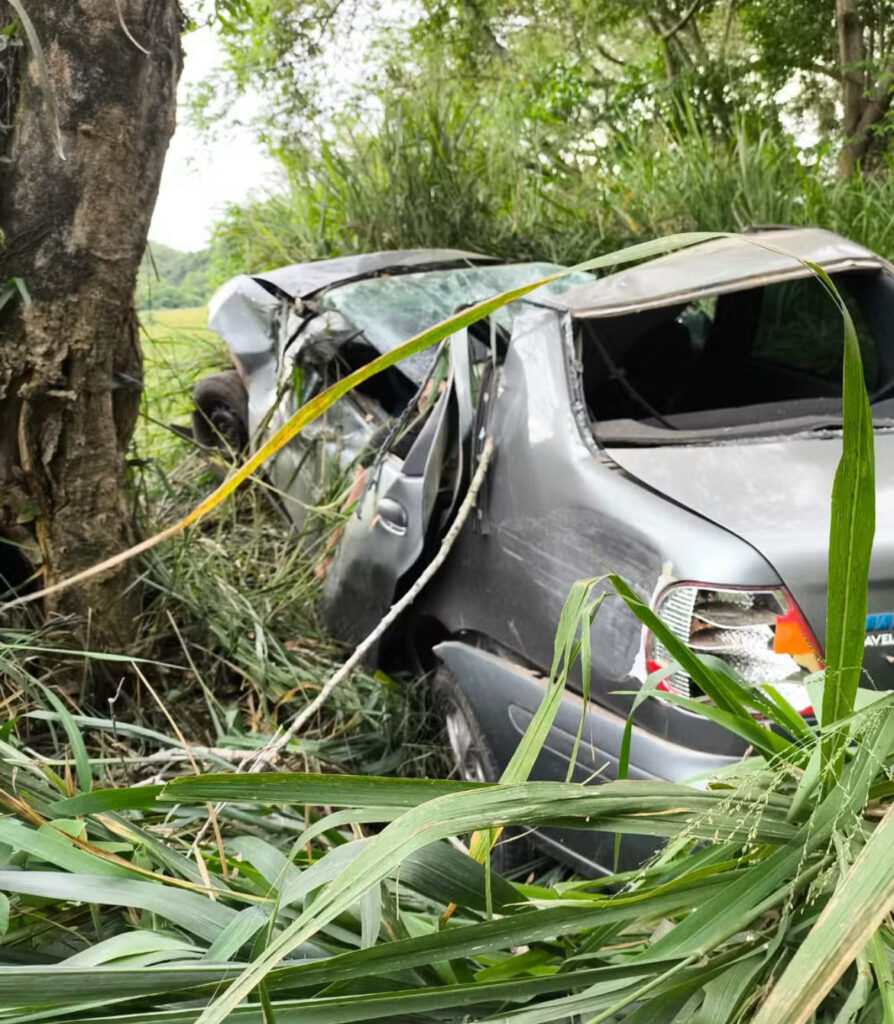 Motorista morre após carro bater em árvore em Piraí